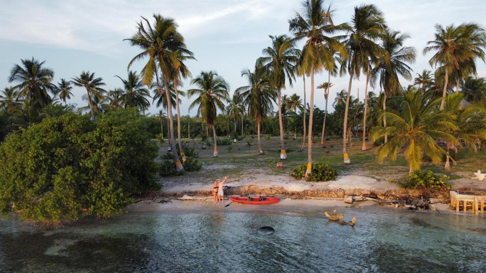 Santa Lova Eco-Hostel Isla Tintipan Tintipan Island Eksteriør billede